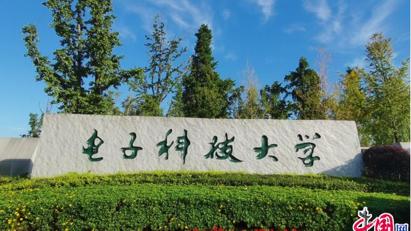 参数指标：二极管的参数指标是判断其性能优劣的重要依据。主要关注以下参数：