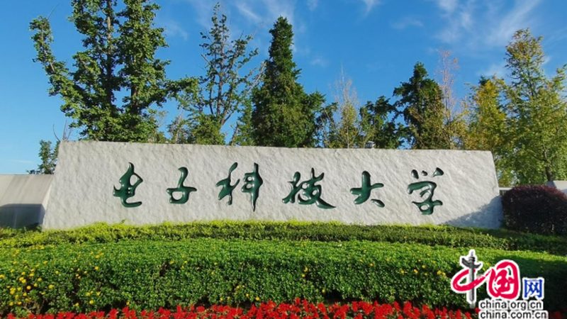 连接器：电子设备中的“桥梁”，如何选择合适的厂家？**